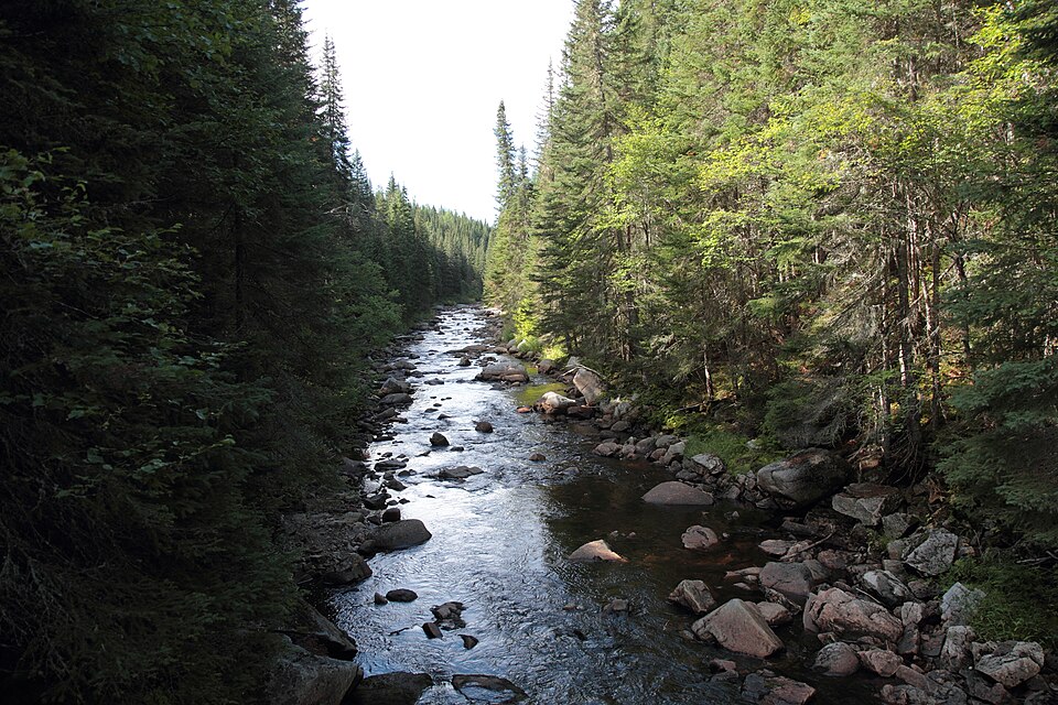 File:Rivière noire Montmorency 01.jpg