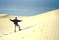 Rangutan in the Sahara