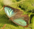 Thumbnail for version as of 12:44, 23 March 2025