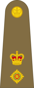 File:British Army OF-4.svg