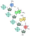 Thumbnail for version as of 19:08, 25 March 2010