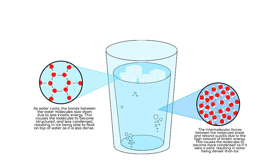 File:Density of Ice.jpg