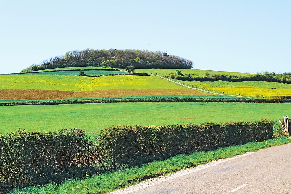 File:Fontangy FR21 Mont-Rond IMF1139.jpg
