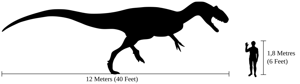 File:Human-allosaurus size comparison.svg