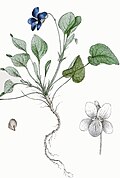 Thumbnail for version as of 14:16, 5 January 2012
