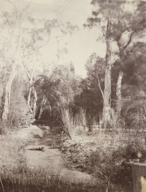 File:Claisebrook stereogram slwa b1923967 1 (cropped).png