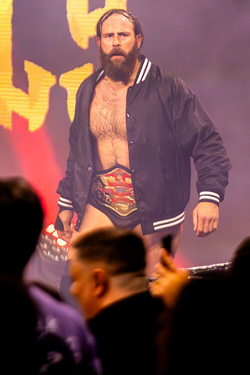 File:Mark Davis (wrestler).jpg