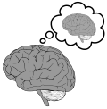 Thumbnail for version as of 14:52, 26 August 2025