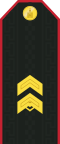 AхлагчAkhlagch(Mongolian Ground Force)