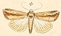 Thumbnail for version as of 12:29, 18 August 2013
