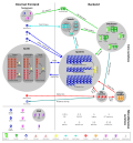Previous (2008-11-10)