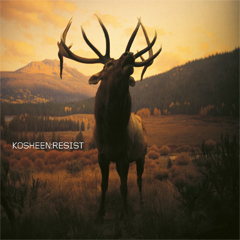 File:Kosheen resist.jpg