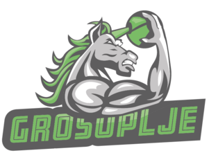 File:KK Grosuplje logo.png