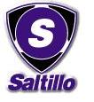 File:Saltillo 3.jpg