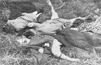 File:Victims of the Vumba Massacre, 1978.jpg