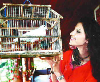 File:Shanti film.jpg