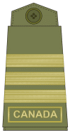 Olive green uniforms (old insignia)