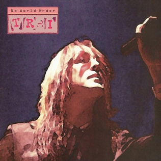 File:Todd Rundgren - No World Order.jpg