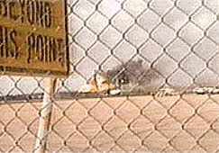 File:Uacrash.jpg
