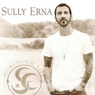 File:Hometown Life by Sully Erna.jpg