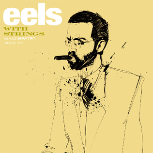 File:Eels - Manchester 2005.png