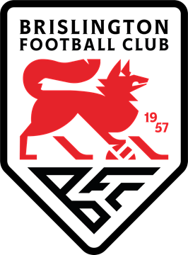 File:Brislington FC logo.png