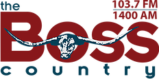 File:WFPR-AM 2020.png