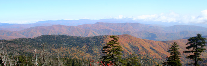 File:SmokyMountainFallLeaves.jpg