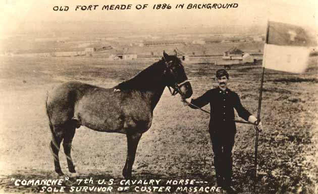 File:Comanche 1886.jpg