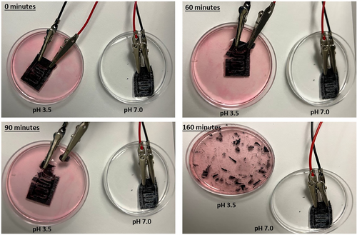 File:Smll202502633-fig-0005-m.webp