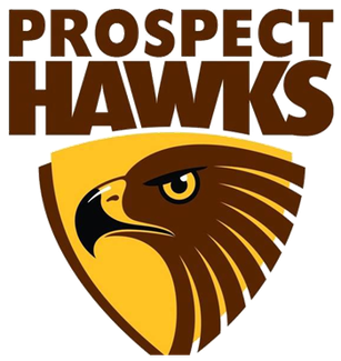 File:Prospect hawks logo.png