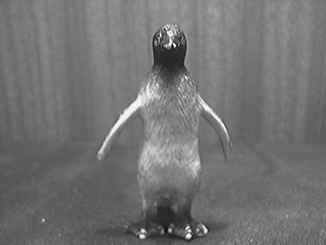File:Penguingray.jpg