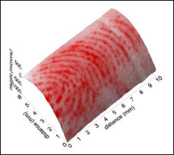File:Fingerprint surfer.jpg