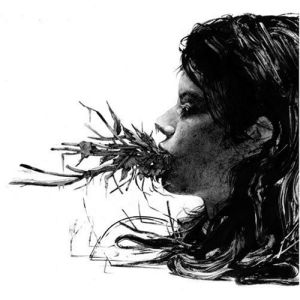 File:Parenthetical Girls - Entanglements.jpeg