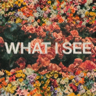 File:What I See (feat. Chris Brown) - Elevation Worship.jpg