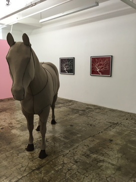 File:Liz Young Of Blood and Dirt 2017 installation.jpg