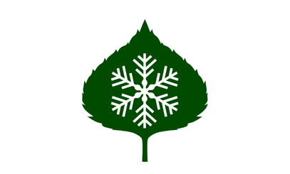 File:Flag of Aspen, Colorado.png