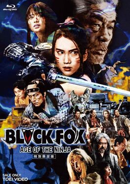 File:BLACKFOX- Age of the Ninja film DVD cover (2019).jpg
