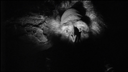 File:Abominable Snowman Eyes.jpg
