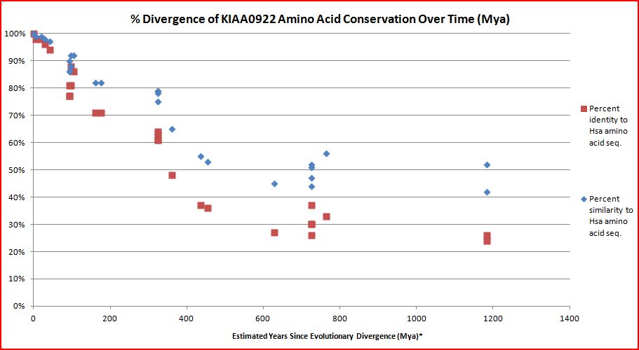 File:Divergence of KIAA0922 protein amino acid conservation over time.jpg
