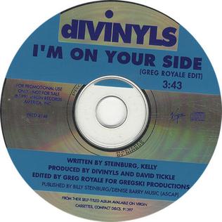 File:Divinylsonyourside.jpg