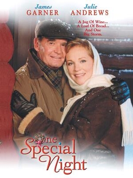 File:One Special Night.jpg