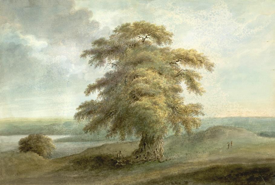 File:SitaRam1814AllahabadTamarindTree.jpg