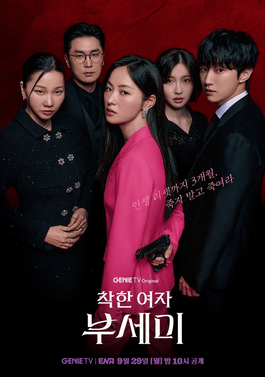 File:Ms. Incognito poster.png