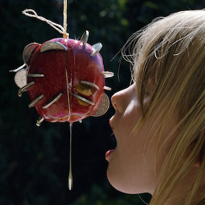 File:Puce Mary - The Drought album cover.jpg