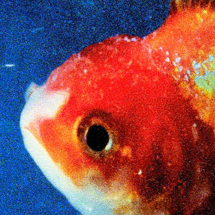 File:Vince-Staples-Big-Fish-Theory.jpeg