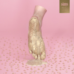 File:Simsmorethanever.png