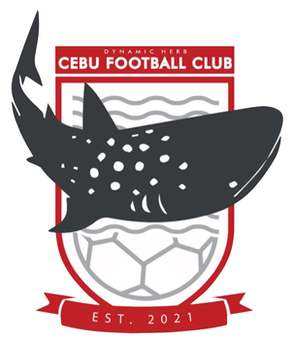 File:Dynamic Herb Cebu F.C.png