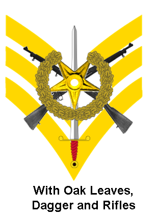 File:WikiChevronsStandardODR.png
