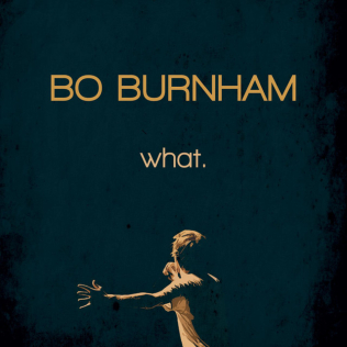File:Bo Burnham what.jpeg